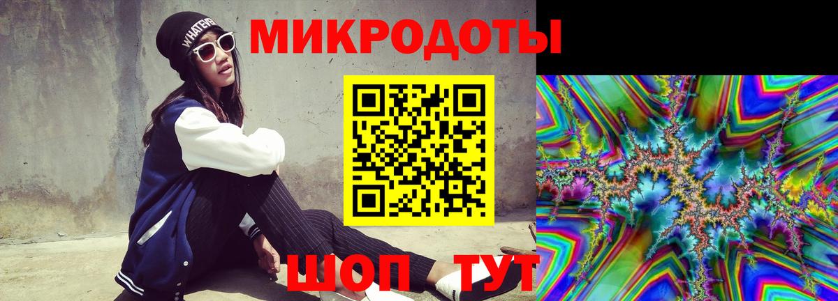 Камень-на-Оби  Псилоцибиновые грибы Psilocybine cubensis  Вход с VPN 
