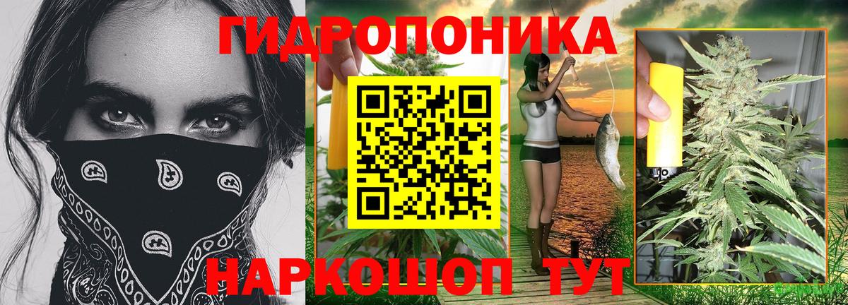 Бошки Шишки ГИДРОПОН  Вход с VPN  Конопля гибрид  Камень-на-Оби 